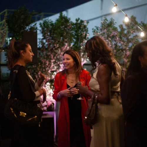 Annoushka - Evoke International - Dubai UAE Marketing, PR, Event Management, Strat Comms, Social Media, Design, Branding