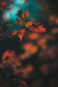 Evoke Newsletter #10 Evoke Newsletter #10