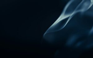 Evoke Newsletter #60