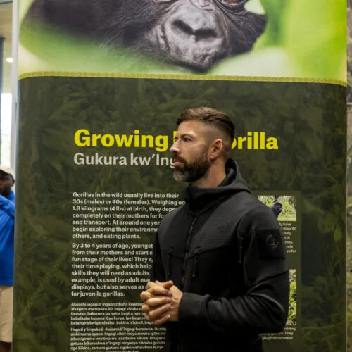 The Dian Fossey Gorilla Fund. Marketing and PR Agency Dubai - Evoke International