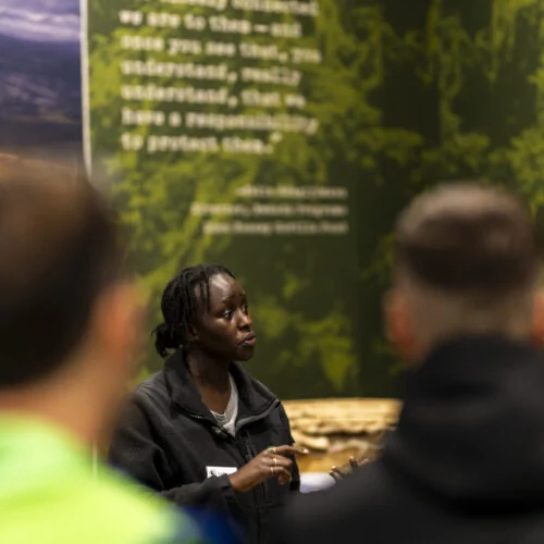 The Dian Fossey Gorilla Fund. Marketing and PR Agency Dubai - Evoke International